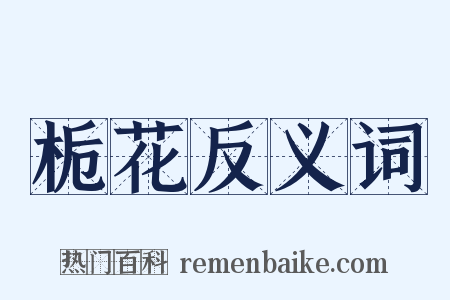栀花反义词是什么意思的图片